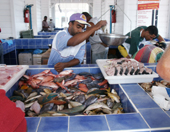 Fish market - French West Indies